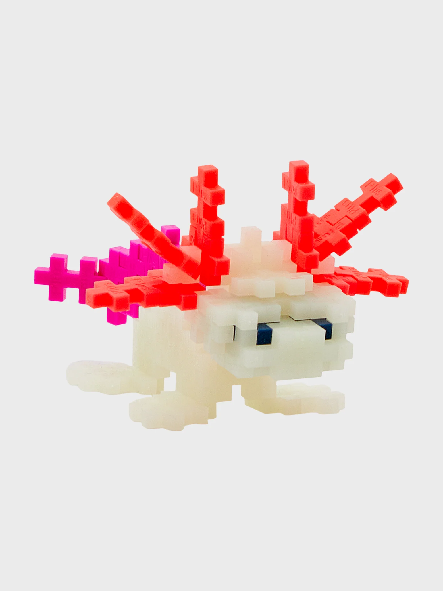 Axolotl - Image 3