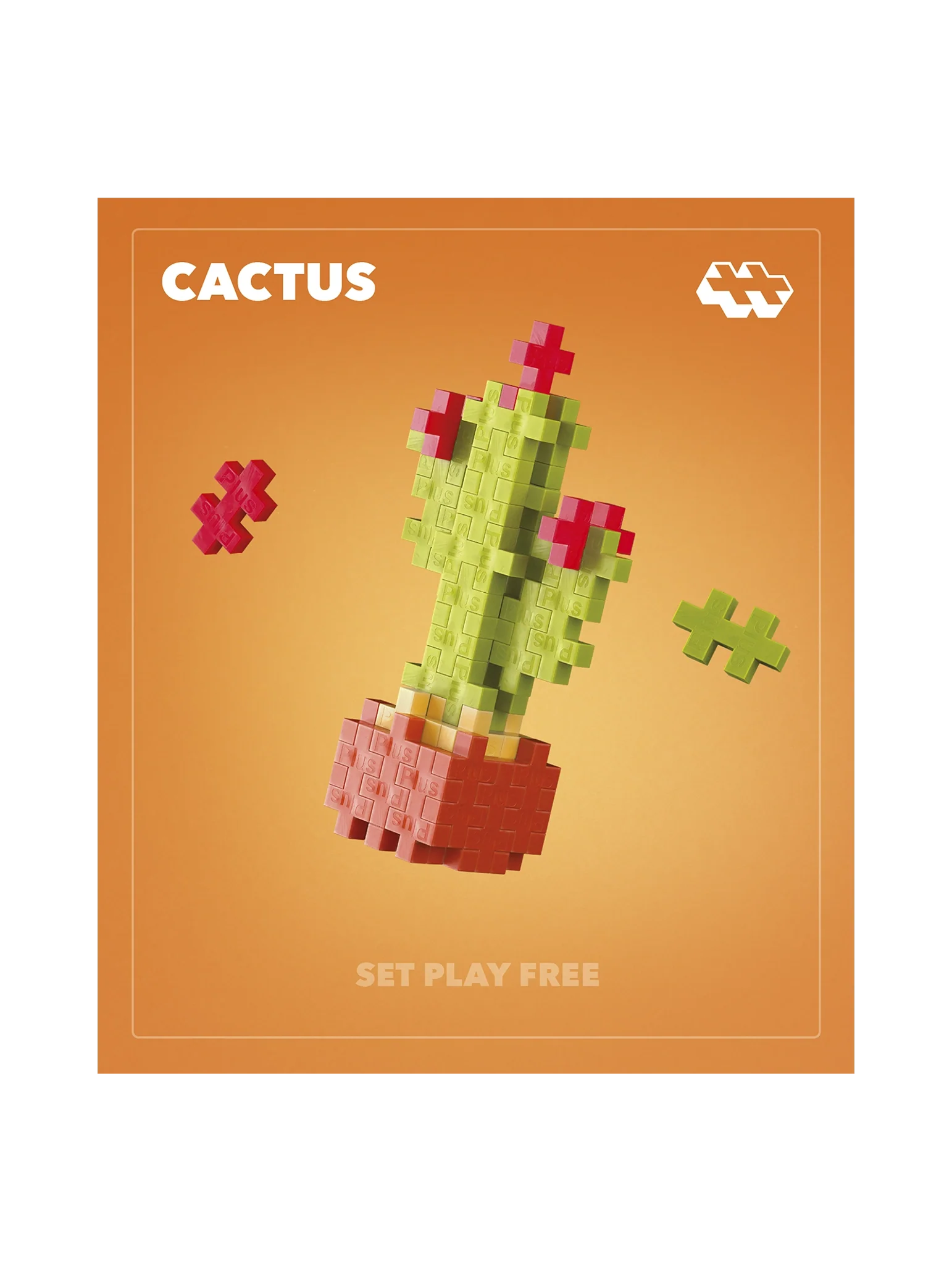 Cactus - Image 7