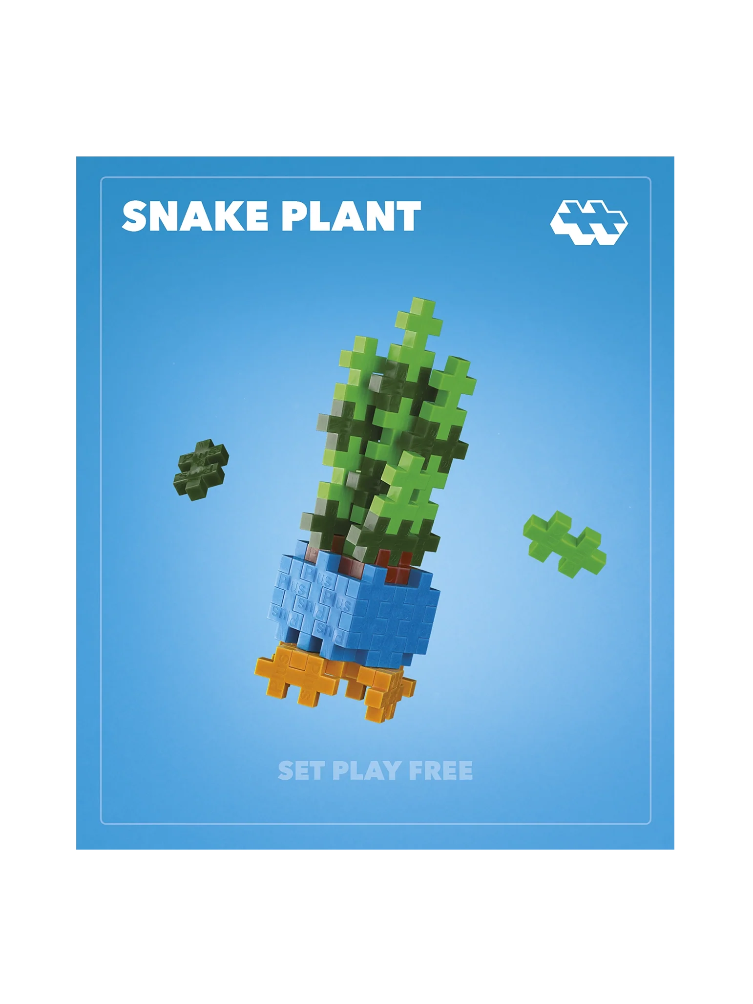 Snake Plant - Image 6